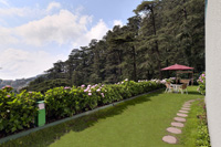 Hotel Honeymoon Inn Shimla